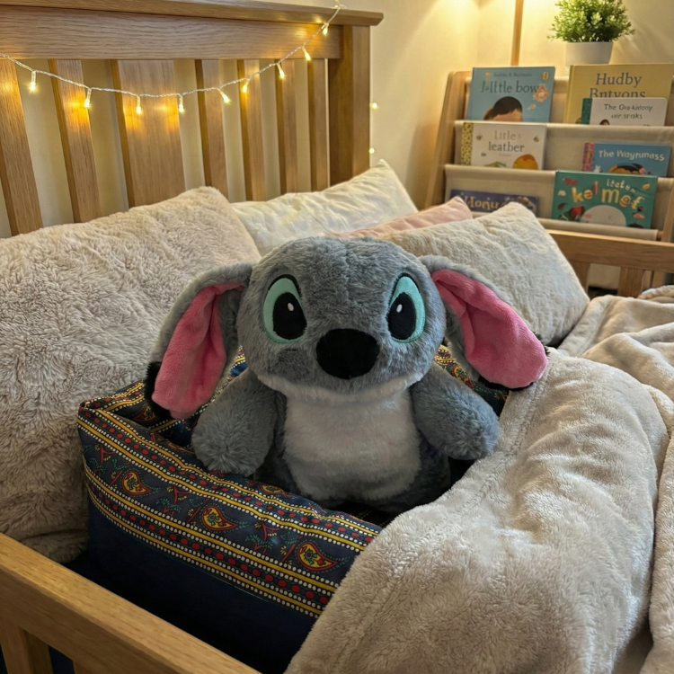 WarmHug Teddy Hot Water Bag Plush